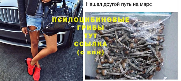 MESCALINE Богданович
