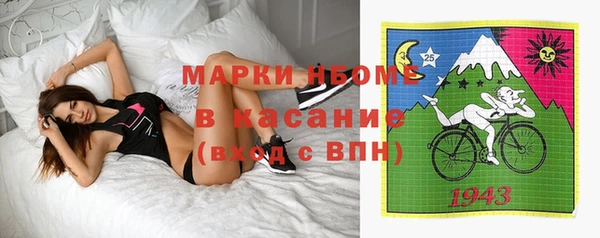 стафф Богородск